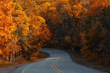 Wall Mural - A winding mountain road curves through the Ozark Mountain forest during autumn with yellow and orange red fell leaves on the trees. 