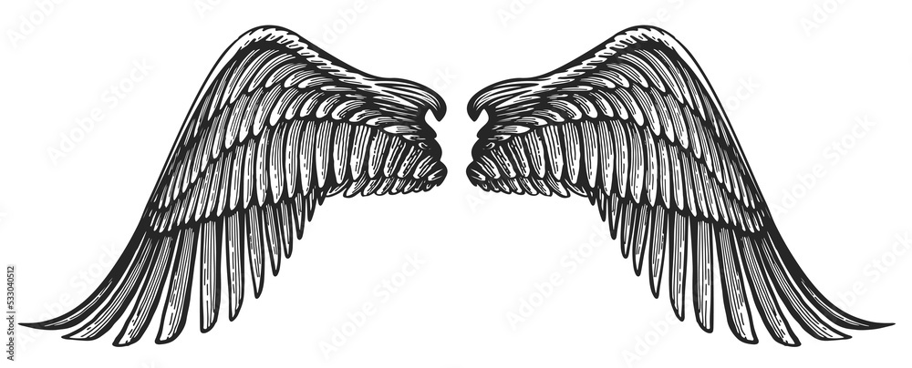 Pair of angel wings in vintage engraving style. Hand drawn heraldic ...