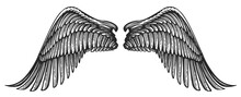 Pair Of Angel Wings In Vintage Engraving Style. Hand Drawn Heraldic Bird Wing Vector Illustration
