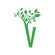 Green letter V with the branch of a tree ornament. For initial logo and brand identity.