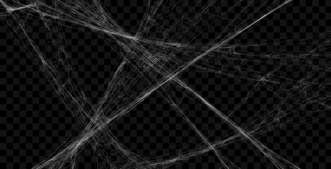 Wall Mural - Realistic spider web background texture. Hanging cobweb for halloween design. Vector illustration.