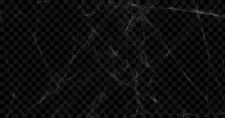 Wall Mural - Realistic spider web background texture. Hanging cobweb for halloween design. Vector illustration.