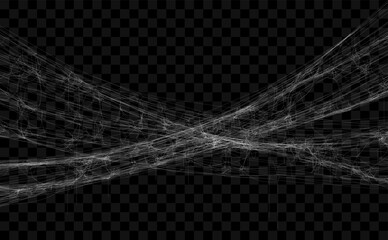 realistic spider web. hanging cobweb for halloween design. vector illustration.