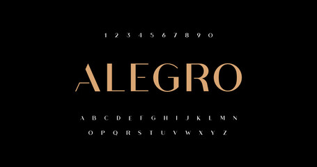 Alegro Elegant alphabet letters font and number. Typography luxury classic lettering serif fonts decorative for logo wedding vintage retro concept. vector illustration