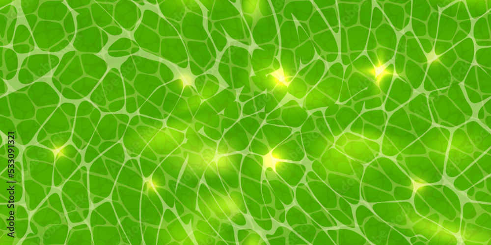 Abstract green background or plant cells texture under a microscope seamless pattern. Leaf tissue layer vector macro illustration. Microbiology wallpaper. Scientific structure.