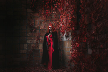 A red-haired young woman in a long black dress with a hood and gothic make-up in autumn castle.  Witch conjuring  in fog and smoke