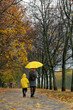 © somemeans - Mom and child in yellow raincoat are walking along the alley of autumn park under yellow umbrella. Back view. Vertical frame