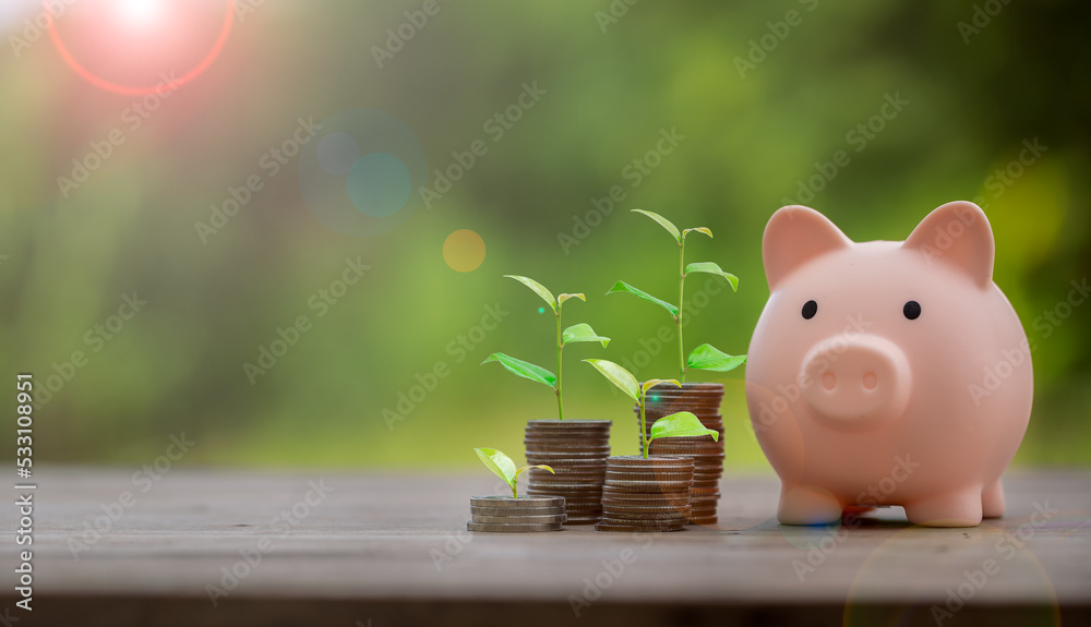 Piggy bank with growing money stack and investment growth chart representing savings and wealth building