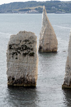 View Of Old Harry Rocks At Handfast Point, On The Isle Of Purbeck In Dorset