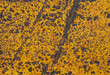 Yellow rusty background