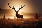 Fototapeta  - Stunning landscape image of deer stag silhouette