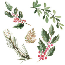 Watercolor Christmas Winter Plants Needles Christmas Star Poinsettia Holly Pine Cones Wreaths And Bouquets