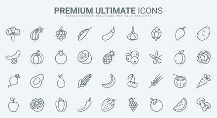 Fruit and vegetable thin line icons set vector illustration. Outline organic healthy farm food for healthy nutrition, fresh apple and orange, banana and cherry berry, carrot and potato for cooking