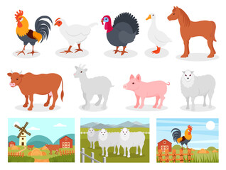 Canvas Print - Farm Animals and Livestock with Poultry and Cattle Big Vector Set