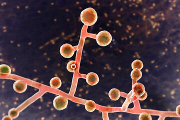 Poster - Emmonsia microscopic pathogenic fungi, 3D illustration