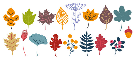 autumn flowers. hand drawn doodle fall. nature plant foliage. colorful leaves and herbs. modern fore