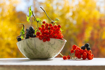 Wall Mural - Dried branch of red mountain ash and chokeberry on a plate on a wooden background with a yellow blurred background. Autumn motifs. Medicinal plant