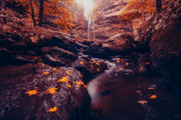 Wall Mural - Cedar Falls waterfall from Petit Jean State Park Arkansas during Autumn season with yellow and orange fall colored leaves 