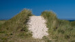 Footpath in the Dunes to the Beach, Denmark