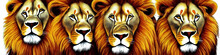 Lion Lineup