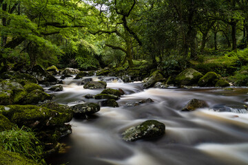 Wall Mural - idyllic and lush forest woodlands scene with a river fowing through it over rocks and boulders