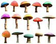 Mushrooms and toadstools 3D illustration	