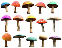 Mushrooms And Toadstools 3D Illustration	