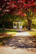 Autumn In The Park With Gazebo