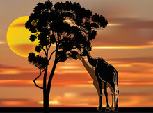 Giraffe Silhouettes Near Tree At Orange Sunset