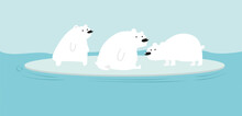 Three Polar Bears On Ice