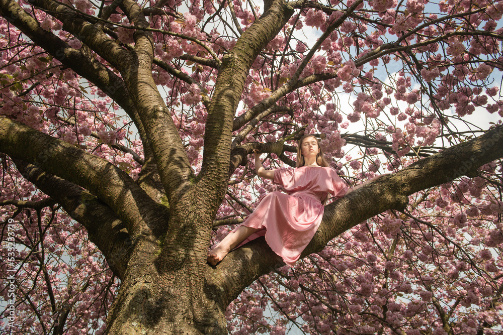 art portrait of girl in pink dress sitting high on cherry blossom tree ...