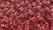 Beautiful Flowers Arranged To Create A Red Wall. Vibrant, Colorful Background Formed From Elegant Roses. 3D Render