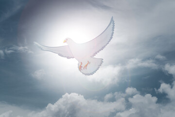 Doves fly in the sky. Christians have faith in Holy Spirit. silhouette worship to god with love Faith, Spirit and jesus christ. Christian praying for peace. Concept of worship in Christianity.