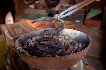 Cowboys or farrier blacksmith man under hit the horseshoe for change into a horse hoof is animal transportation on 1800s lifestyle vintage concept.