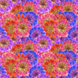 Zinnia. Illustration, texture of flowers. Seamless pattern for continuous replication. Floral background, photo collage for textile, cotton fabric. For wallpaper, covers, print.
