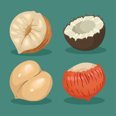 Poster - four nuts snacks icons