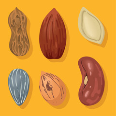 Canvas Print - six nuts snacks icons