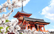 Kiyomizu-dera Temple (Clean Water Temple) and blooming sakura branches. Spring time in Kyoto, Japan