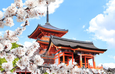 Sticker - Kiyomizu-dera Temple (Clean Water Temple) and blooming sakura branches. Spring time in Kyoto, Japan