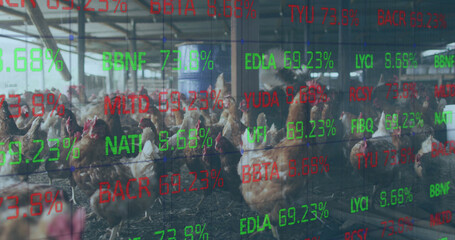 Poster - Image of financial data processing over chickens at farm