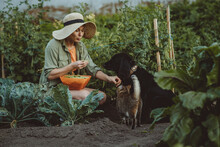 Woman Feeding Green Peas To Dog And Cat In Garden