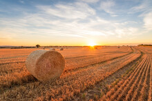Hay Bales Lying In Field At Sunset