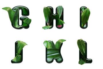 Wall Mural - Letters of the alphabet from glossy orchid leaves