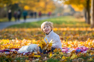 Happy children, playing with pet dog in autumn park on a sunny day