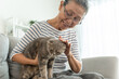 Asian senior woman stroking and play with domestic cat in living room. 