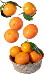 Wall Mural - Tangerines falling into a bowl