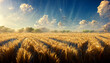 champs de blé en été
