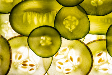 Wall Mural - slices of cucumber on a white background - food background