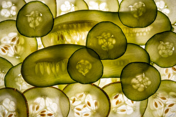 Wall Mural - slices of cucumber on a white background - food background