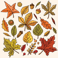 Wall Mural - set with cute autumn leaves